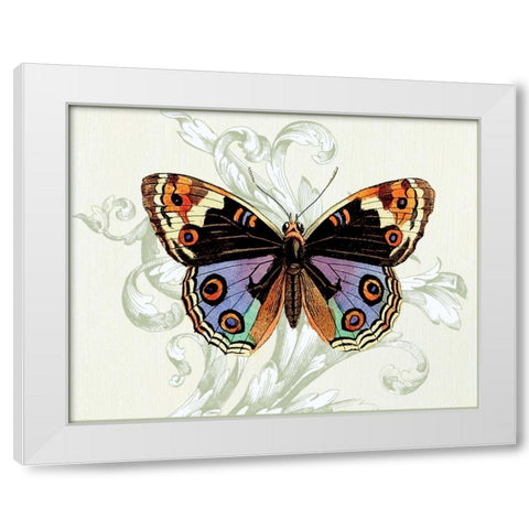 Butterfly Theme I White Modern Wood Framed Art Print by Davies, Susan