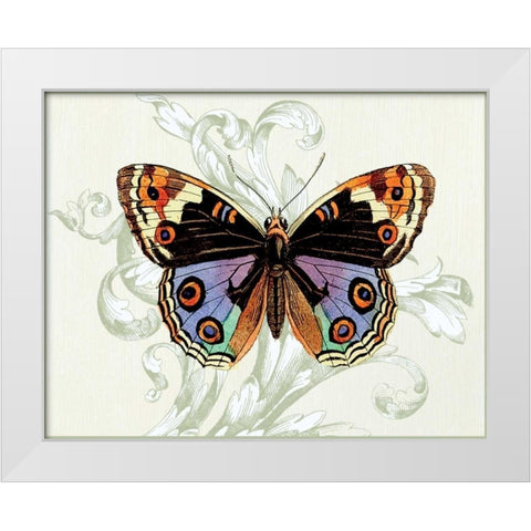 Butterfly Theme I White Modern Wood Framed Art Print by Davies, Susan