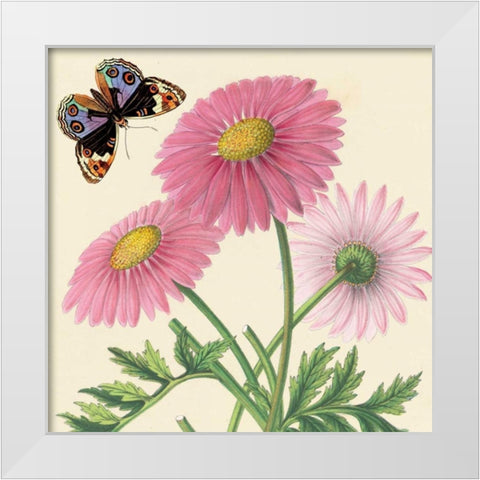 Country Cousins II White Modern Wood Framed Art Print by Alexander, Zachary