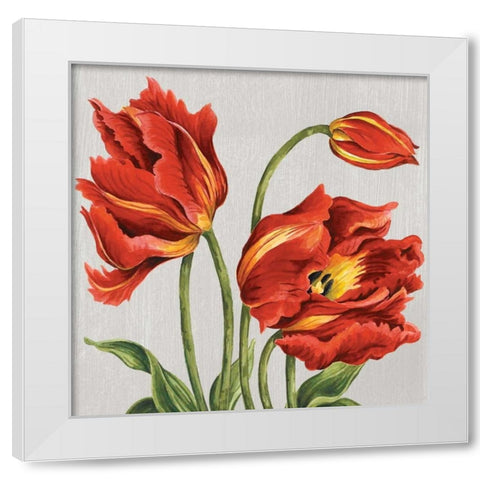 Tulips on Silk White Modern Wood Framed Art Print by Shelby, Judy