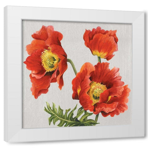 Poppies on Silk White Modern Wood Framed Art Print by Shelby, Judy
