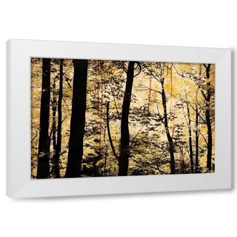 Golden Wood White Modern Wood Framed Art Print by Nicole, Lily