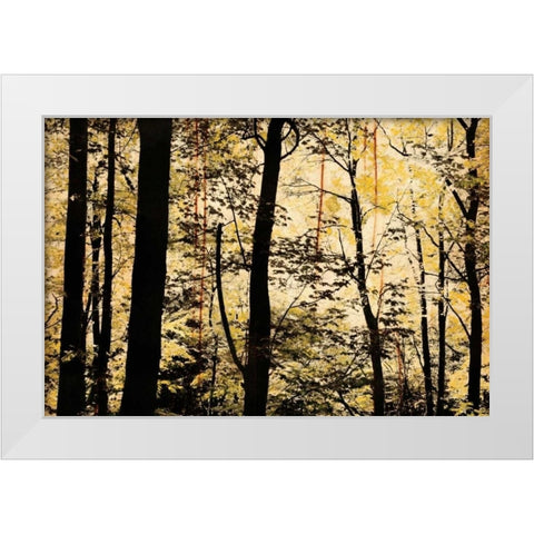 Golden Wood White Modern Wood Framed Art Print by Nicole, Lily