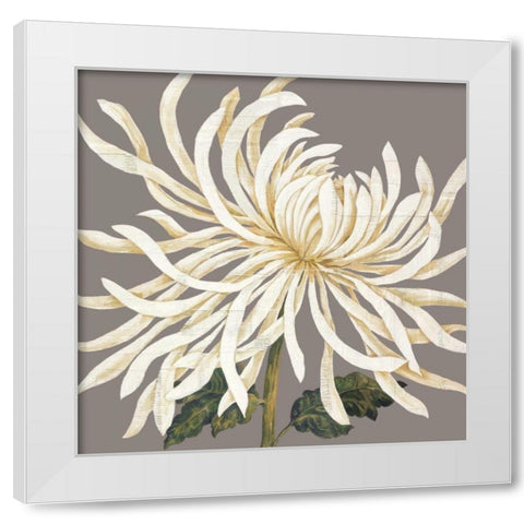 Glorious Whites I White Modern Wood Framed Art Print by Shelby, Judy
