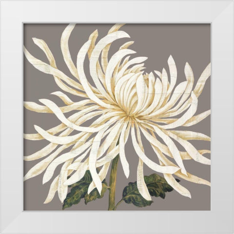 Glorious Whites I White Modern Wood Framed Art Print by Shelby, Judy