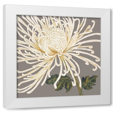 Glorious Whites II White Modern Wood Framed Art Print by Shelby, Judy
