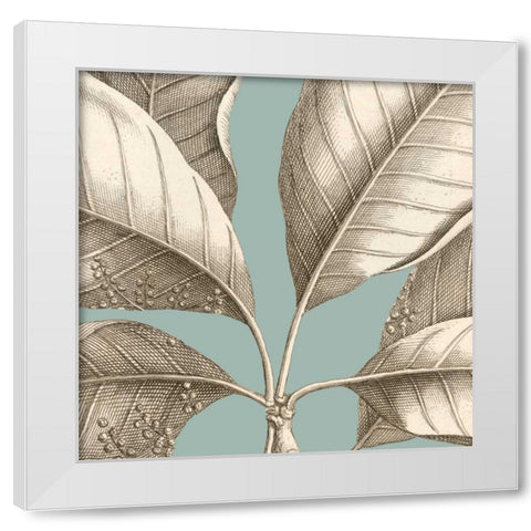 Tropical Varieties I White Modern Wood Framed Art Print by Lawrence, David