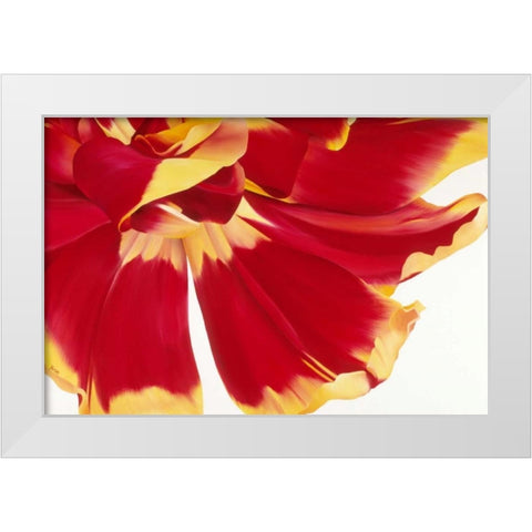 Floriade III White Modern Wood Framed Art Print by Poelstra-Holzhaus, Yvonne