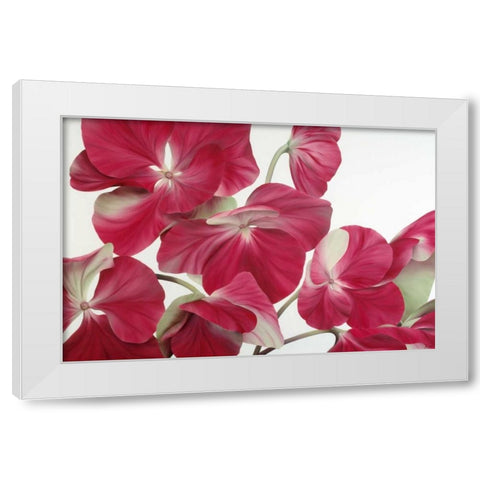 Floriade IV White Modern Wood Framed Art Print by Poelstra-Holzhaus, Yvonne