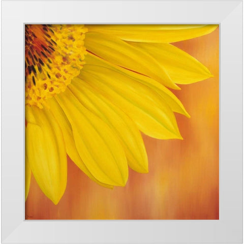 Sunflower II White Modern Wood Framed Art Print by Poelstra-Holzhaus, Yvonne