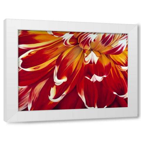 Redony White Modern Wood Framed Art Print by Poelstra-Holzhaus, Yvonne