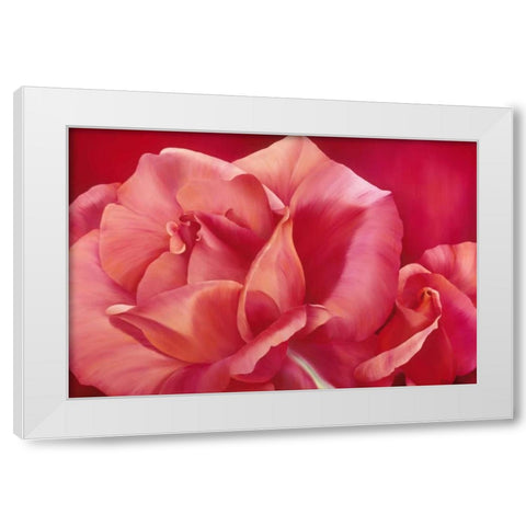 Pink Rose I White Modern Wood Framed Art Print by Poelstra-Holzhaus, Yvonne