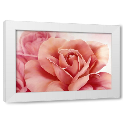Pink Rose II White Modern Wood Framed Art Print by Poelstra-Holzhaus, Yvonne
