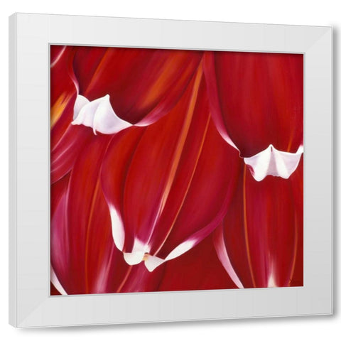 Most Beautiful Tulip II White Modern Wood Framed Art Print by Poelstra-Holzhaus, Yvonne