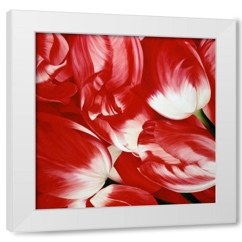 Most Beautiful Tulip III White Modern Wood Framed Art Print by Poelstra-Holzhaus, Yvonne