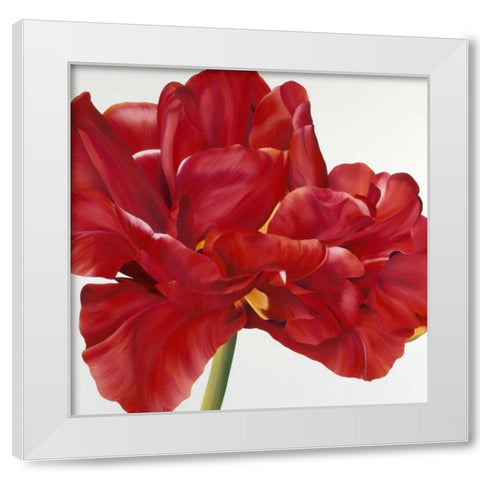 Colourful Floral II White Modern Wood Framed Art Print by Poelstra-Holzhaus, Yvonne