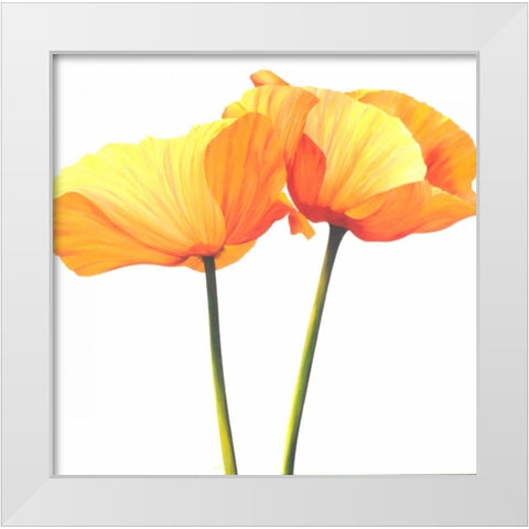 Yellow Poppy White Modern Wood Framed Art Print by Poelstra-Holzhaus, Yvonne