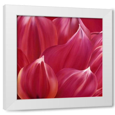 Close up  White Modern Wood Framed Art Print by Poelstra-Holzhaus, Yvonne