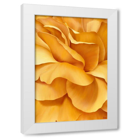 Magnificant Flower I White Modern Wood Framed Art Print by Poelstra-Holzhaus, Yvonne