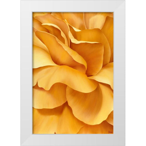 Magnificant Flower I White Modern Wood Framed Art Print by Poelstra-Holzhaus, Yvonne