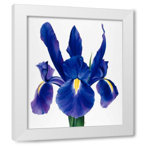 Purple floral I White Modern Wood Framed Art Print by Poelstra-Holzhaus, Yvonne