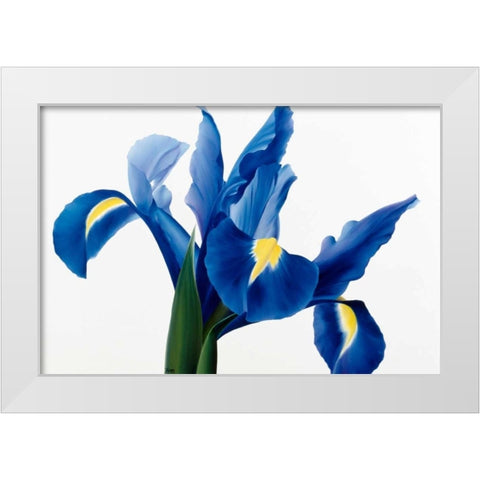 Purple floral II White Modern Wood Framed Art Print by Poelstra-Holzhaus, Yvonne