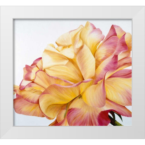 Beautiful rose White Modern Wood Framed Art Print by Poelstra-Holzhaus, Yvonne