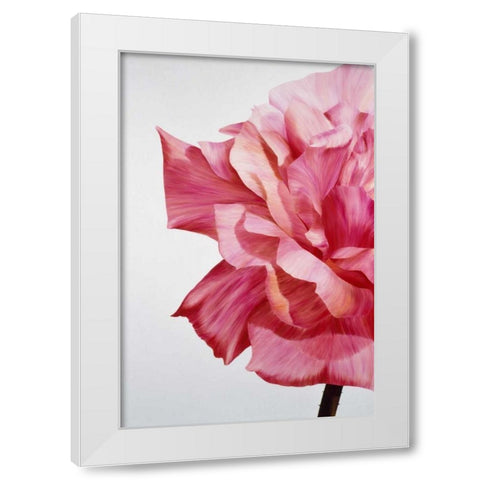 Pink Twin I White Modern Wood Framed Art Print by Poelstra-Holzhaus, Yvonne