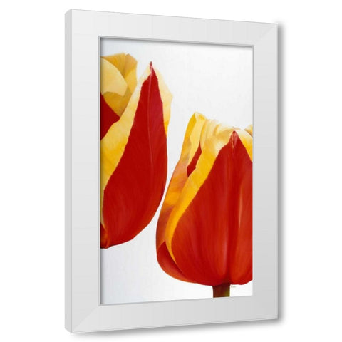 Stay there! White Modern Wood Framed Art Print by Poelstra-Holzhaus, Yvonne