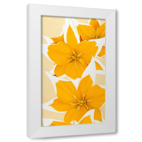Yellow missy White Modern Wood Framed Art Print by Poelstra-Holzhaus, Yvonne
