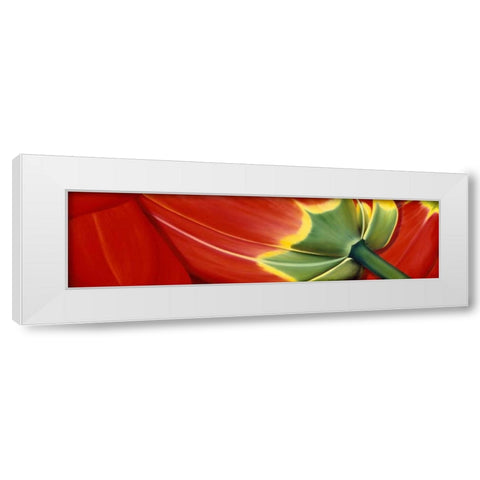 Sleeping well White Modern Wood Framed Art Print by Poelstra-Holzhaus, Yvonne