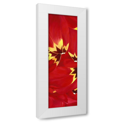 Red and Close to you White Modern Wood Framed Art Print by Poelstra-Holzhaus, Yvonne