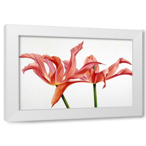 Dancing Floriade White Modern Wood Framed Art Print by Poelstra-Holzhaus, Yvonne