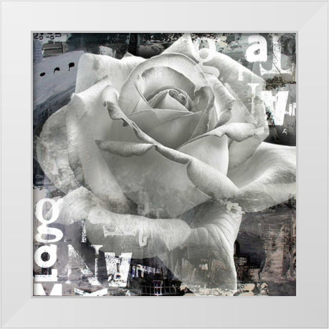 White Rose II White Modern Wood Framed Art Print by Baker, Micha