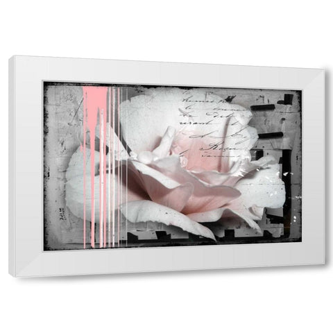 Pink Rose White Modern Wood Framed Art Print by Baker, Micha