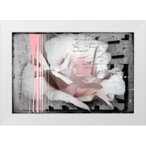 Pink Rose White Modern Wood Framed Art Print by Baker, Micha