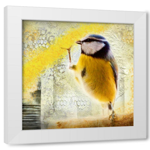 Birdy White Modern Wood Framed Art Print by de Haas, Mascha