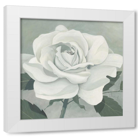 Rose One White Modern Wood Framed Art Print by Heigl, Franz