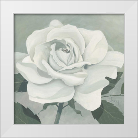 Rose One White Modern Wood Framed Art Print by Heigl, Franz
