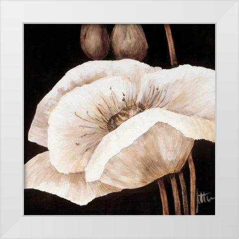 Amazing poppies I White Modern Wood Framed Art Print by Roseboom, Jettie