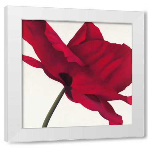 Papaver I White Modern Wood Framed Art Print by Poelstra-Holzhaus, Yvonne