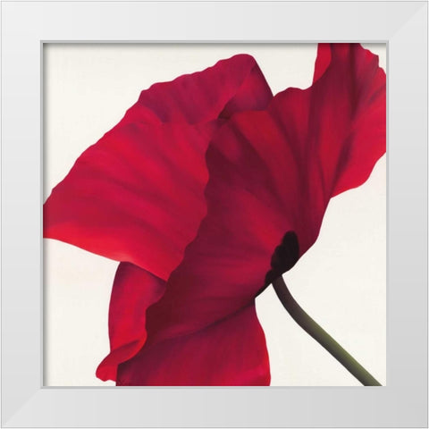 Papaver II White Modern Wood Framed Art Print by Poelstra-Holzhaus, Yvonne
