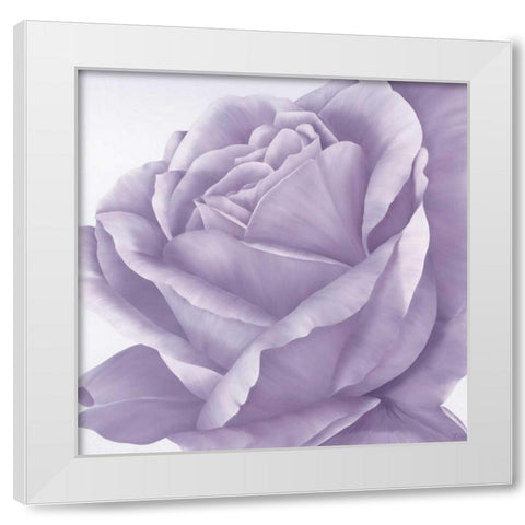 Magnificence II White Modern Wood Framed Art Print by Poelstra-Holzhaus, Yvonne