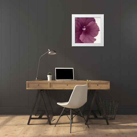Violet Flower II White Modern Wood Framed Art Print by Poelstra-Holzhaus, Yvonne