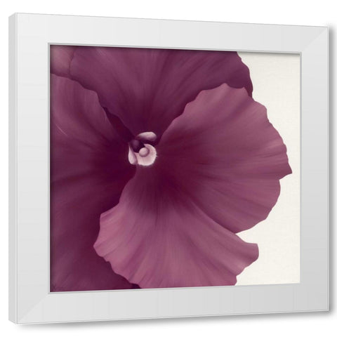 Violet Flower II White Modern Wood Framed Art Print by Poelstra-Holzhaus, Yvonne