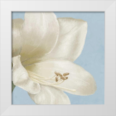 White amaryllis I White Modern Wood Framed Art Print by Linda, Wood