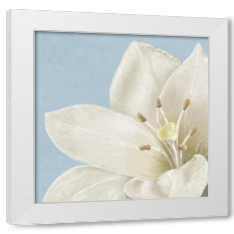 White amaryllis II White Modern Wood Framed Art Print by Linda, Wood