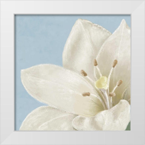White amaryllis II White Modern Wood Framed Art Print by Linda, Wood