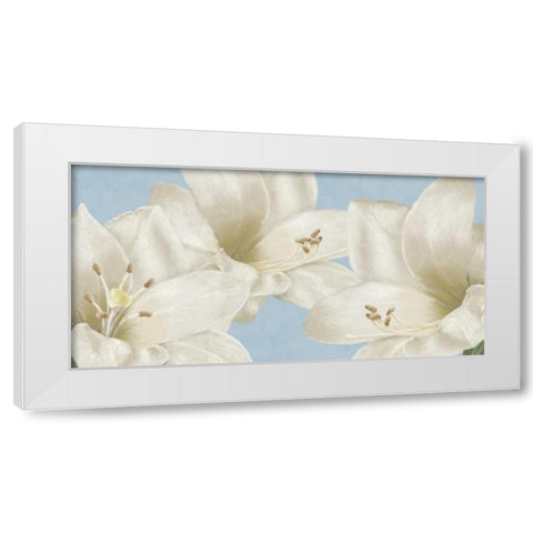 White Amaryllis III White Modern Wood Framed Art Print by Linda, Wood
