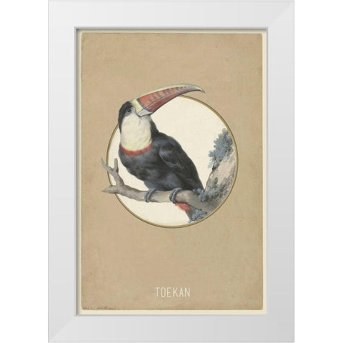 Toekan White Modern Wood Framed Art Print by Waltz, Anne